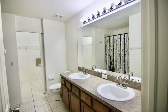 Master bathroom - 10619 Shady Falls Ct