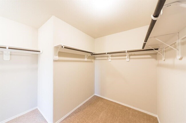 Building Photo - 2534 Sandbar Shark Ct