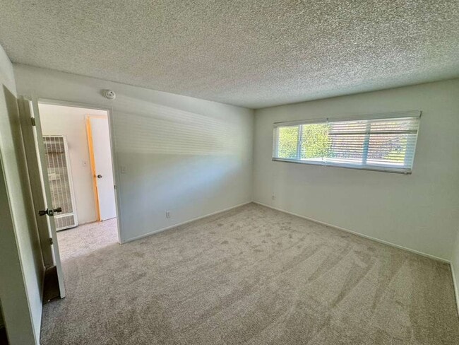 Building Photo - 1002 Ignacio Blvd