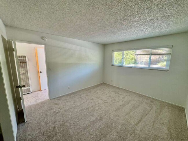 Building Photo - 998 Ignacio Blvd