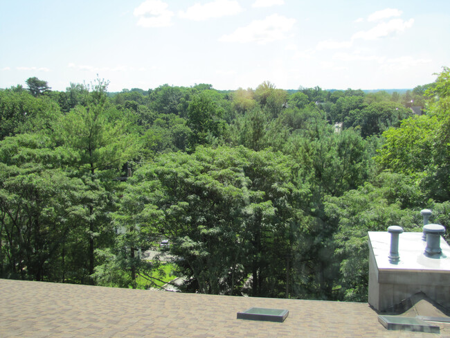 Building Photo - 51 Mount Kemble Ave