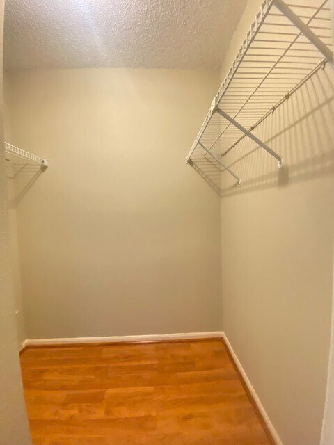 Building Photo - 2120 El Paseo St