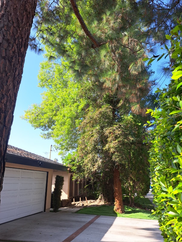 Building Photo - 20222 Valerio St