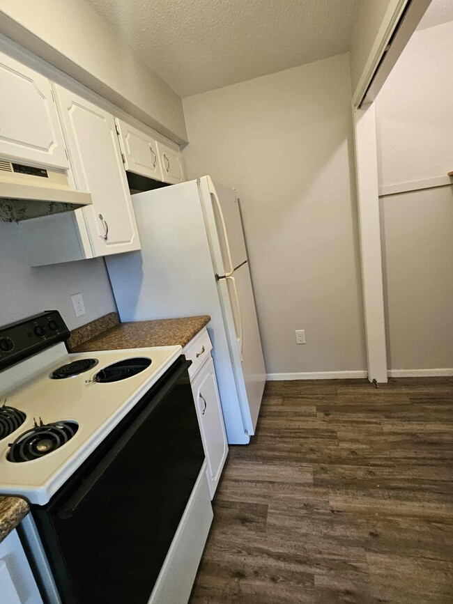 Building Photo - 203 Country Villa Ln