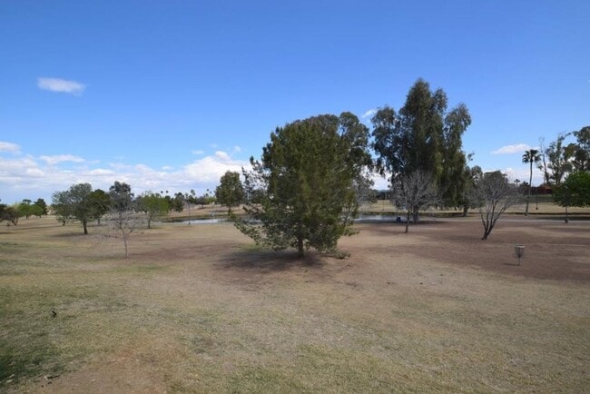 Building Photo - Beautifully remodeled Scottsdale condo bac...