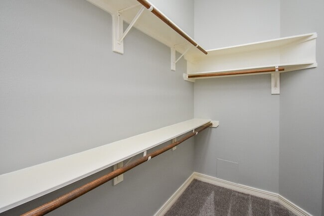 Building Photo - 7902 Silent Forest Dr