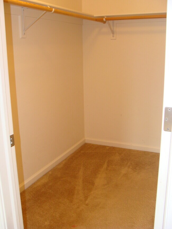 Building Photo - 300 Chatfield Ln