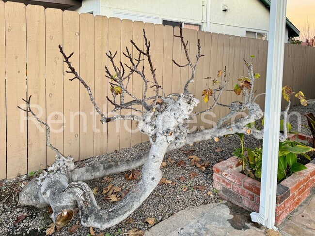 Building Photo - 8181 Elston Pl