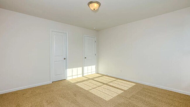 Building Photo - Spacious Newer Construction In Candler