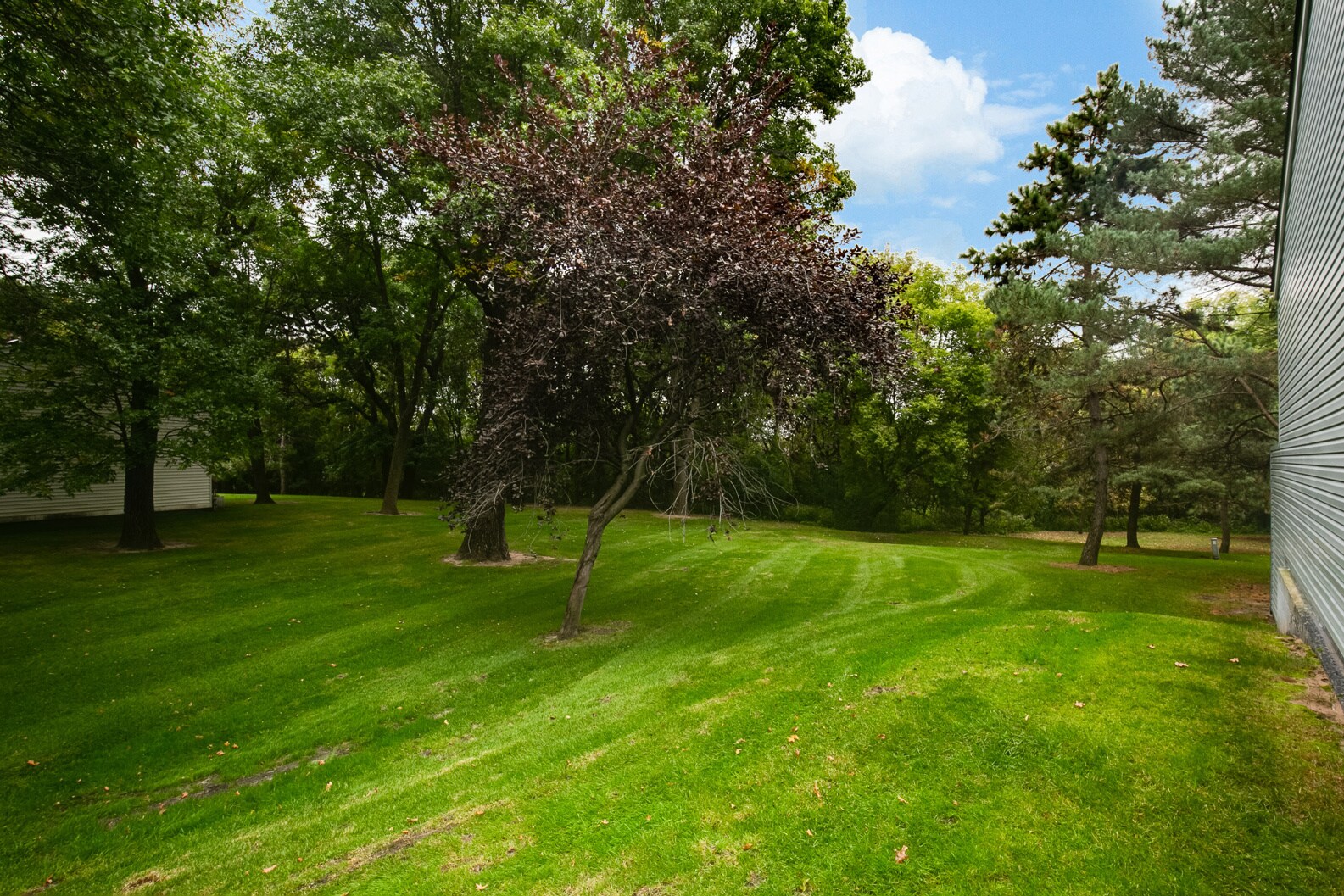 Building Photo - 12115 Drake St NW