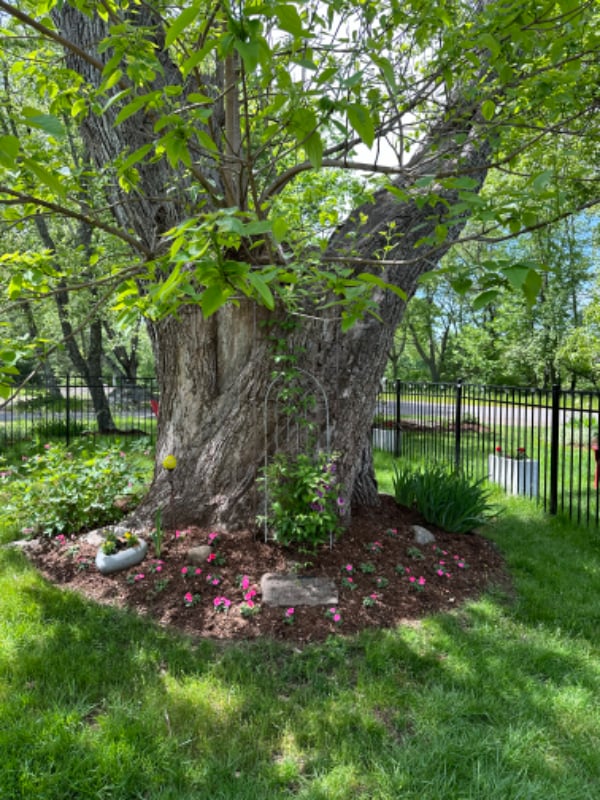 Building Photo - 2 Burdon St