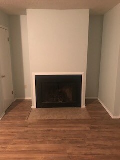 Fireplace - 1833 Ryder