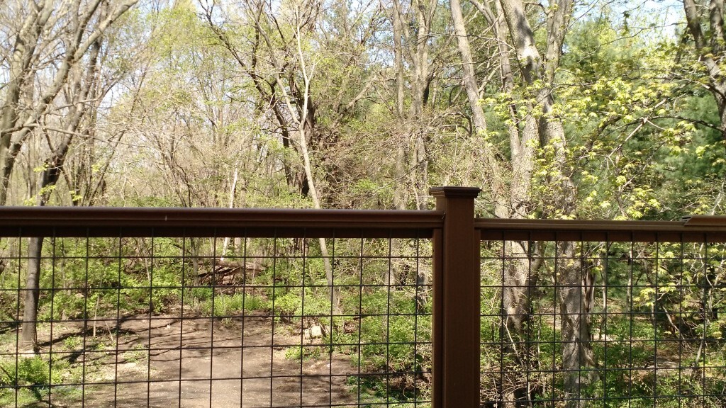 View from Deck - 14711 N River Beach Dr