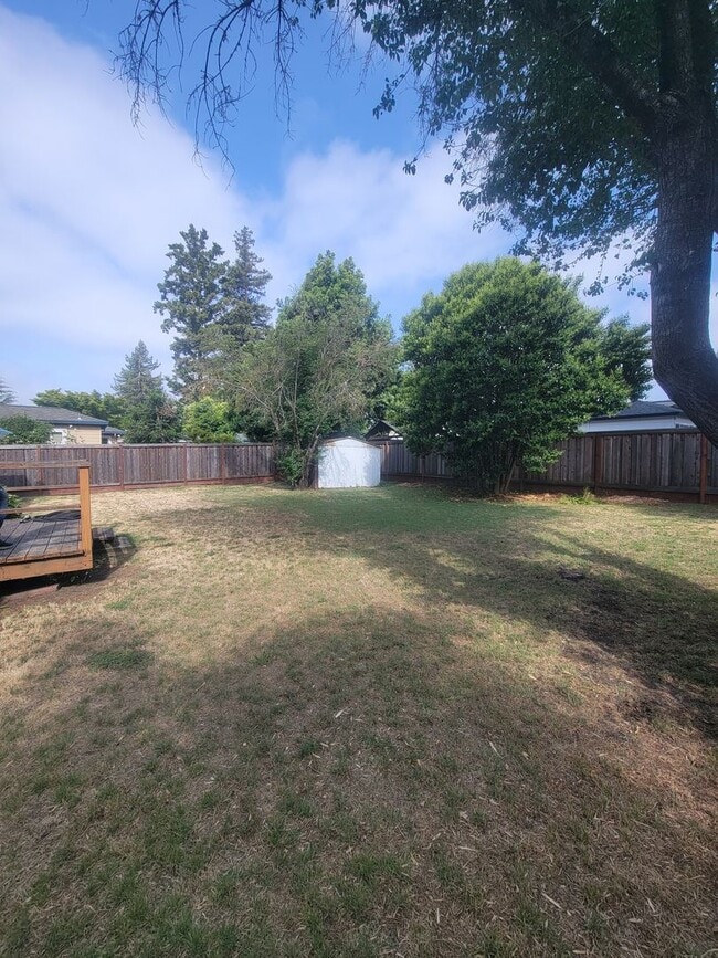 Building Photo - Charming 2 Bedroom, 1 Bathroom Home in San...
