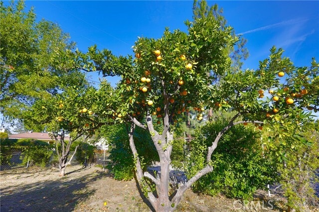 Building Photo - 17449 Donmetz St