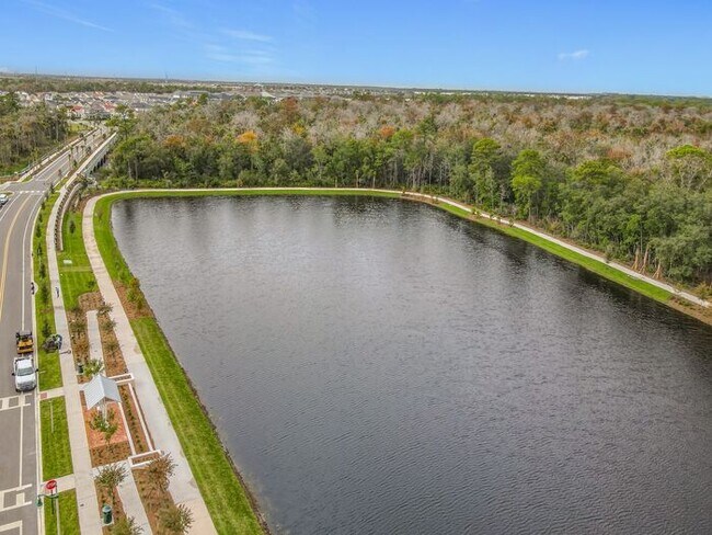 Building Photo - Brand New Luxury Town House in Island Village a Celebration, FL maintenance free community.