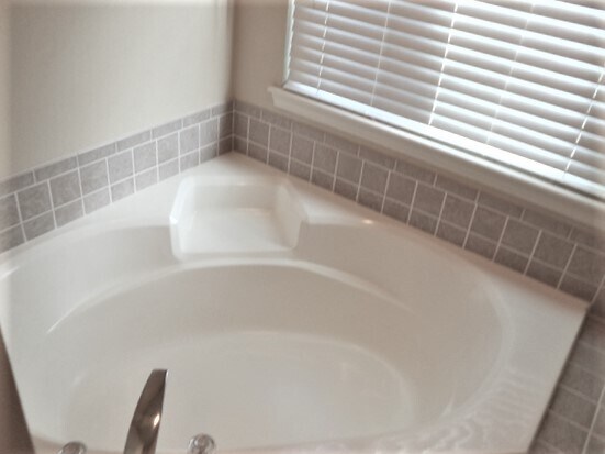 Building Photo - 868 Red Fern Dr