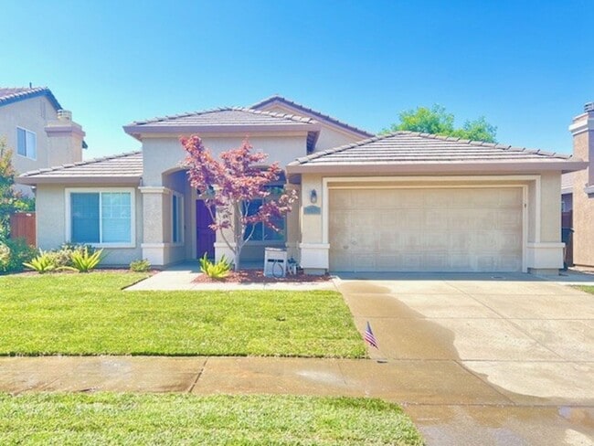 Primary Photo - 649 Garden Park Dr
