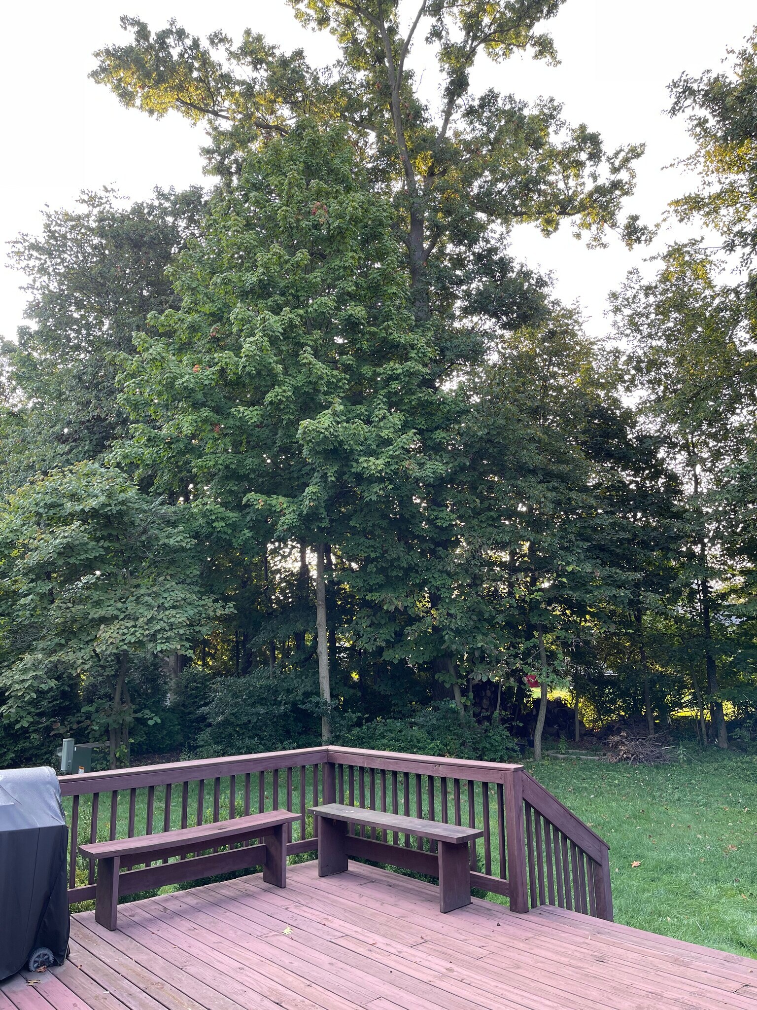 Building Photo - 6041 Holywell Dr