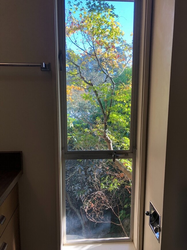 Building Photo - Lovely 3/2 home in the hills of El Cerrito with breathtaking views of the bay!