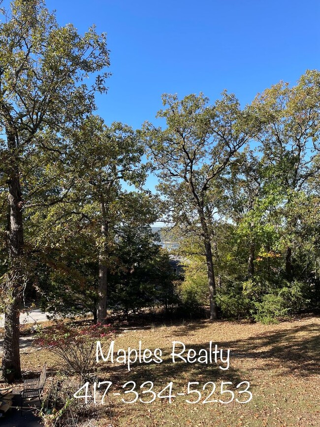 Building Photo - NEW LISTING - 3 bedroom, 2.5 bath in Ridgedale, MO near Big Cedar Lodge