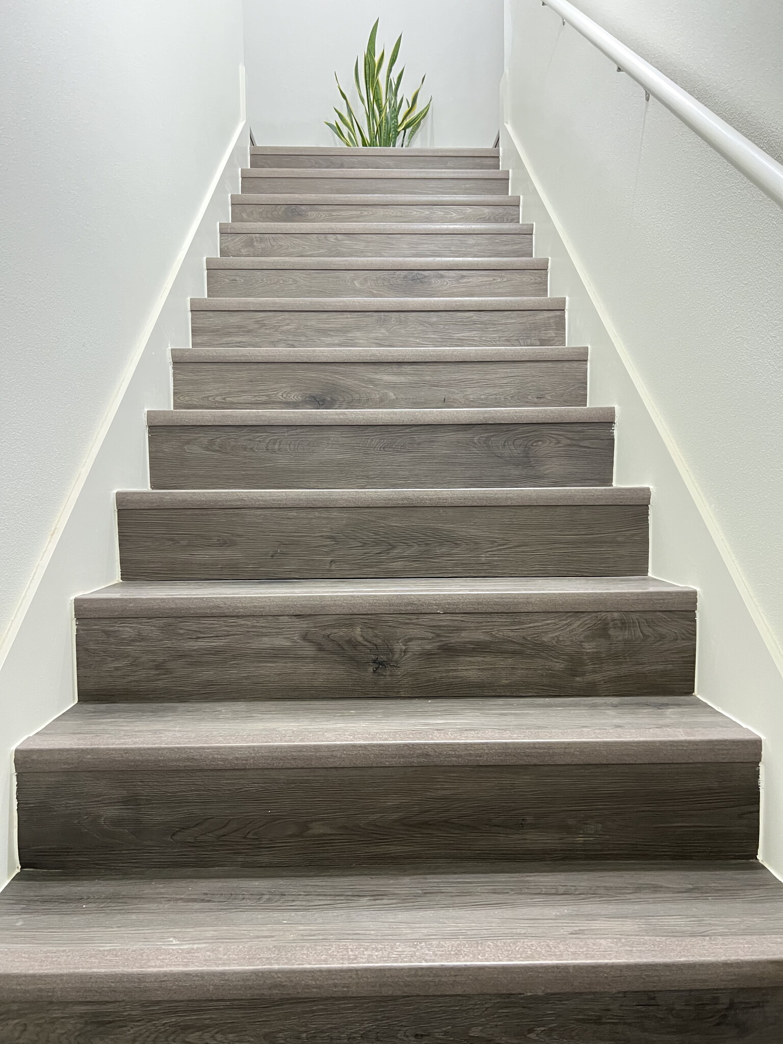 Building Photo - 1018 S Benchmark Ln
