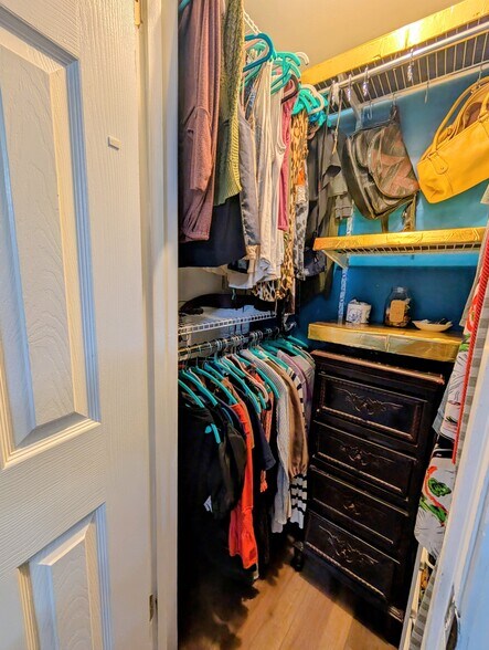 "Step in" closet in primary BR - 12709 Gordon Blvd
