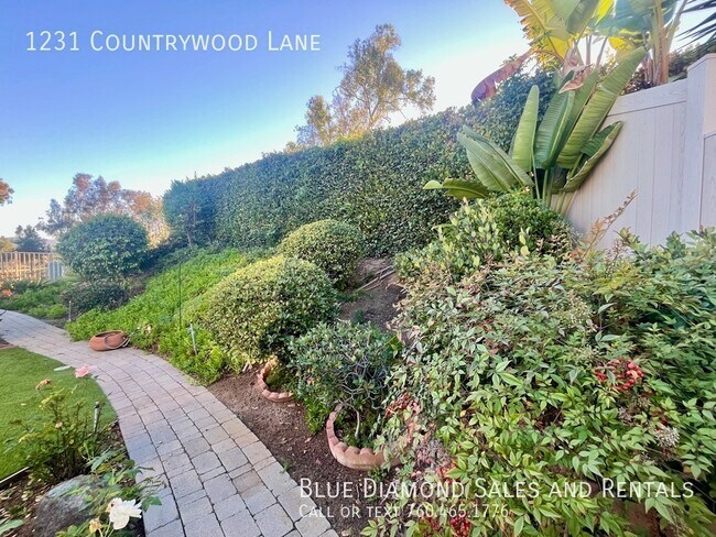 Building Photo - 1231 Countrywood Ln