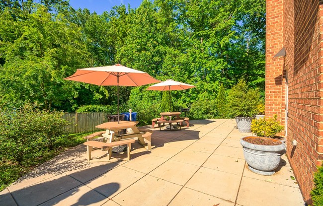 BBQ & Picnic Area - West Wood Oaks Apartments