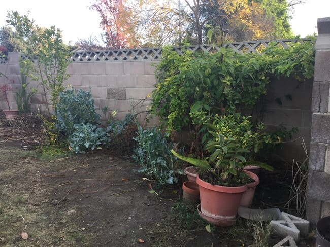 Building Photo - 23301 Hamlin St