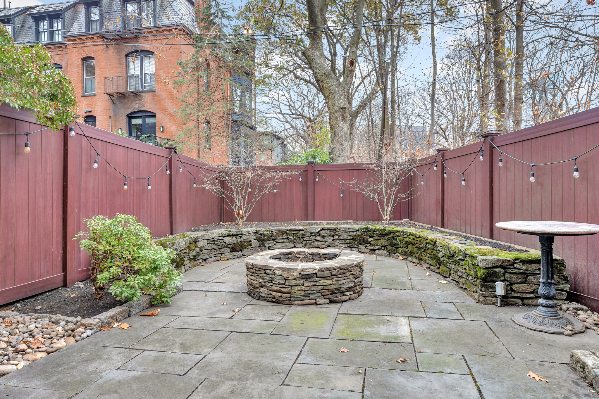 Back yard patio and garden - 3 Carlton St