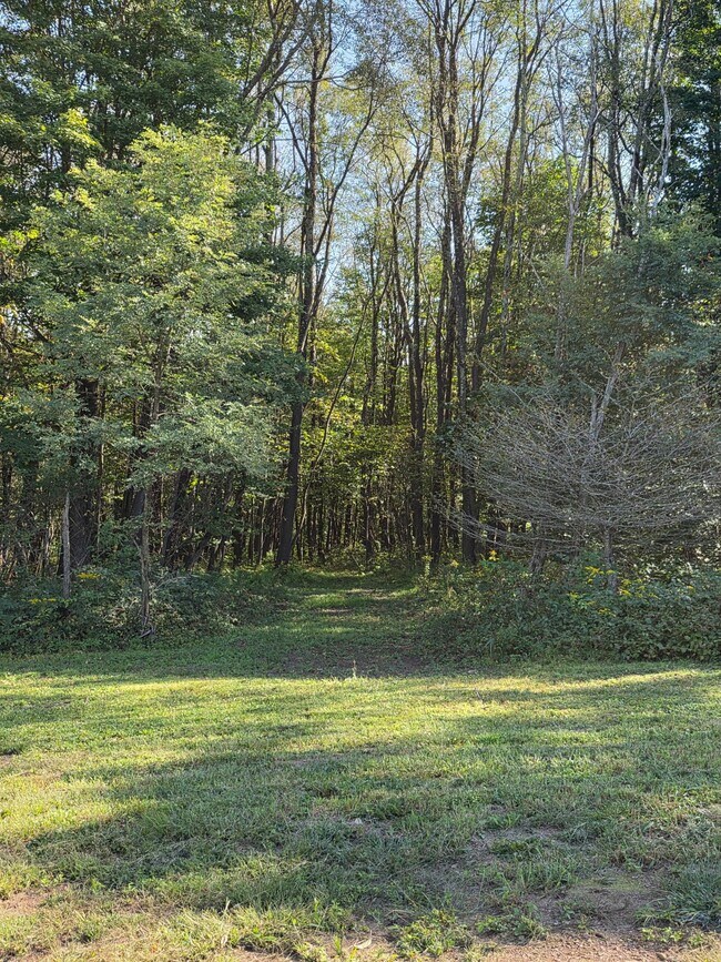 Building Photo - 207 Hawk Run