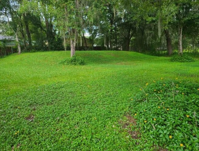 Building Photo - 6532 Mangrove Dr