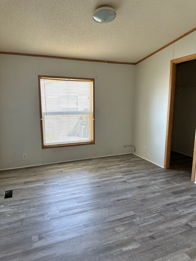 Building Photo - 119 Silver Maple Dr