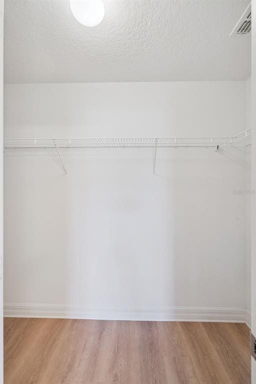 Building Photo - 2256 GLADIOLUS Ln