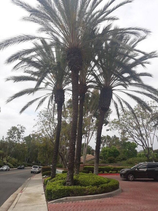 Building Photo - Great Location in Lake Forest