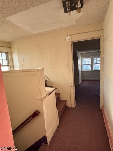 Building Photo - 15 Albion St