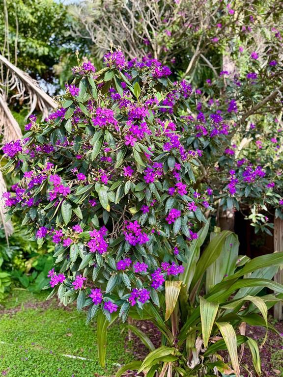 Building Photo - 3012 Grand View Ave