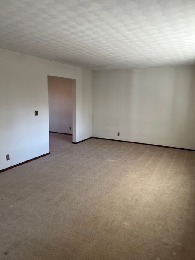 Building Photo - Spacious, Fully Updated Home with Walkout Basement on a Mature Lot