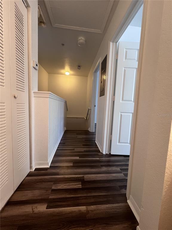 Building Photo - 4009 Venetian Bay Dr