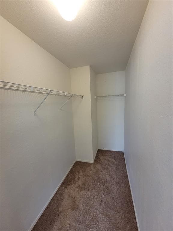 Building Photo - 5934 Brickleberry Ln