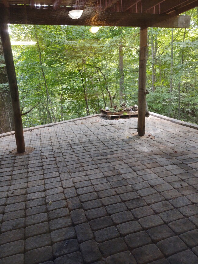 Patio - 297 Knoll Dr