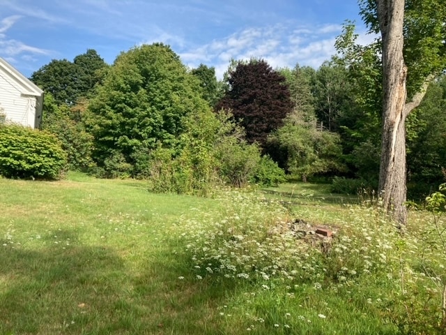 Garden 2 - 176 Bagley Hill Rd
