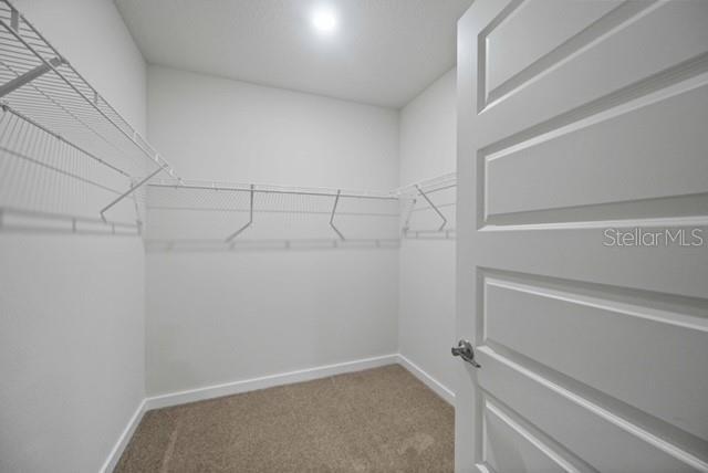 Building Photo - 3703 Hatchery Wy