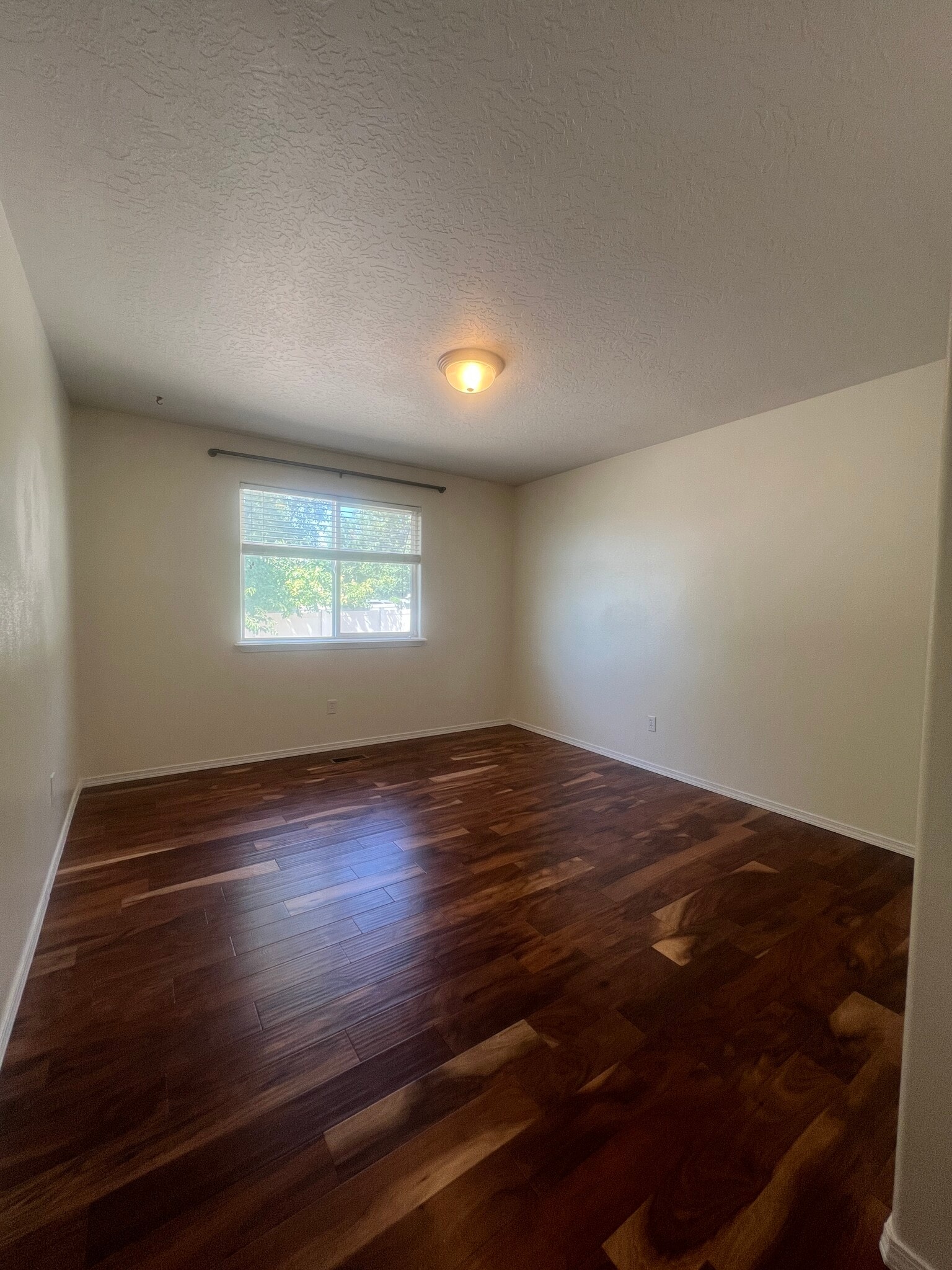 Bonus room/Office - 1907 N Thistle Dr