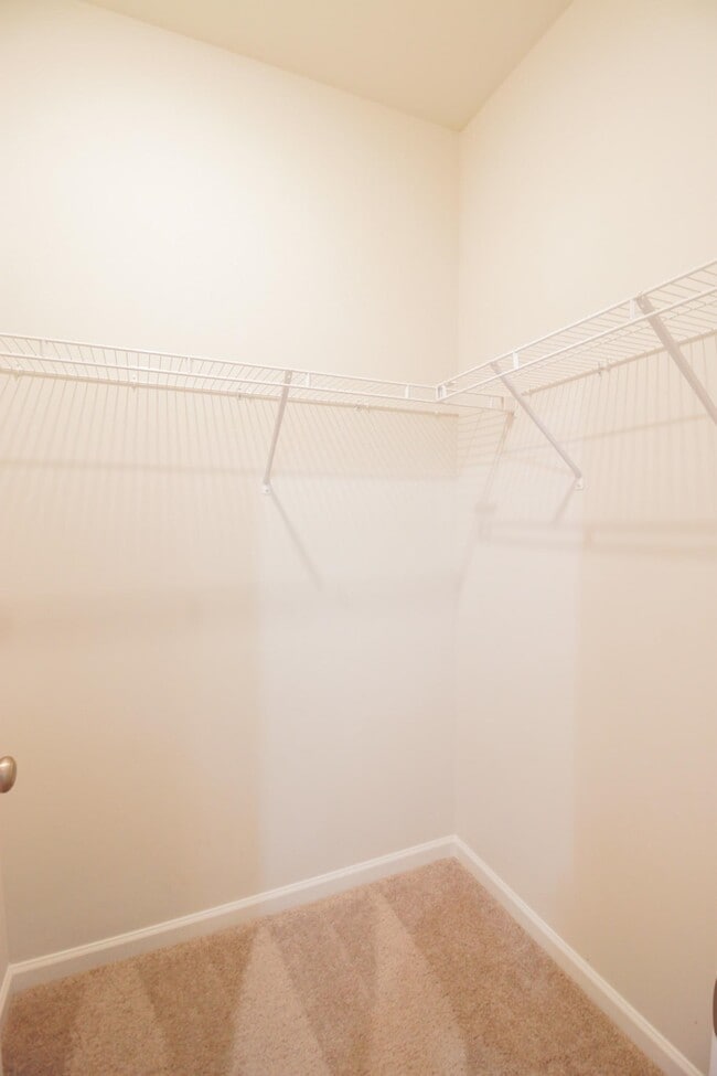 Building Photo - 1454 Bellaria Wy