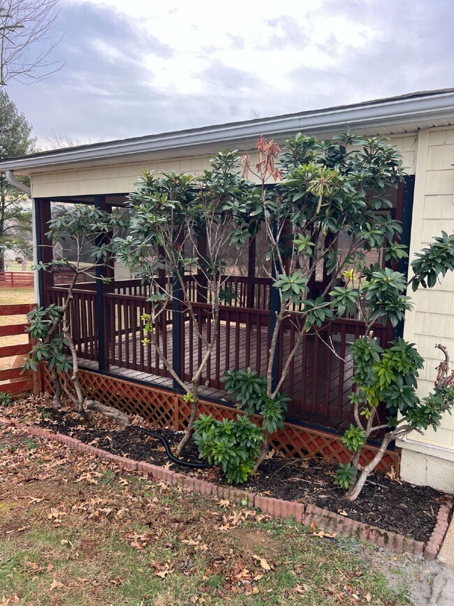 Building Photo - 1244 Mountain View Rd