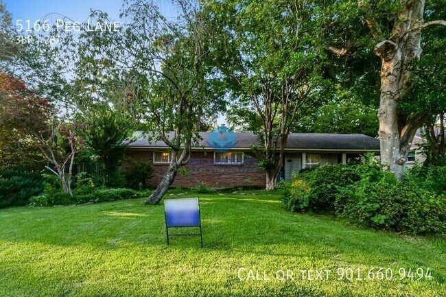 Building Photo - 5166 Peg Ln