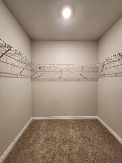 Building Photo - 3635 Rollingwater Wy