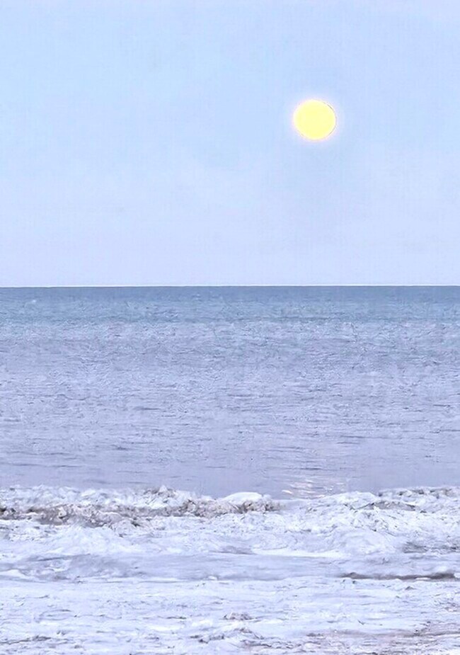 Building Photo - 5455 N Sheridan Rd